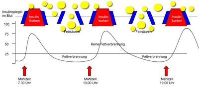 Diagramm: Insulinspiegelverlauf bei 3 Mahlzeiten