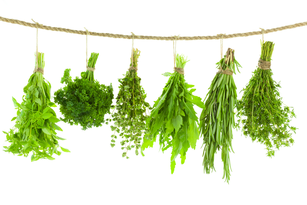 Various bundles of fresh herbs and spices